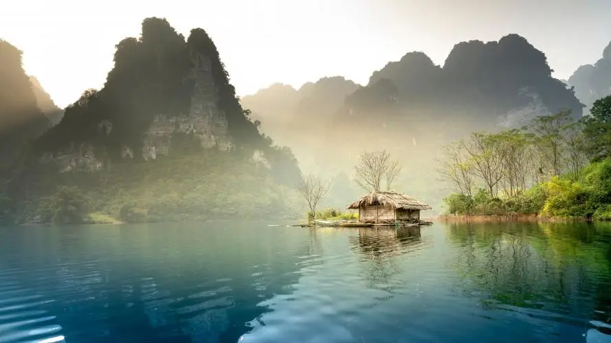 高效高效独特